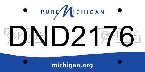 DND2176 Michigan License Plate