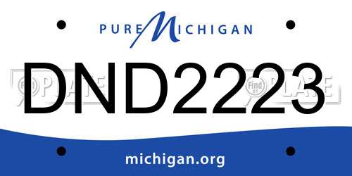 DND2223 Michigan License Plate