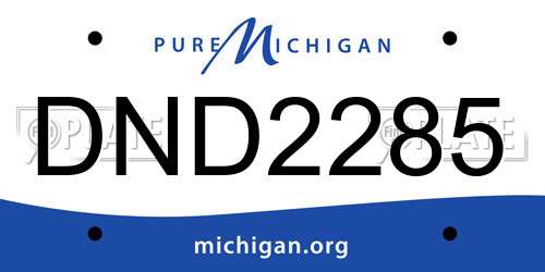 DND2285 Michigan License Plate