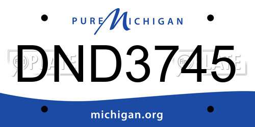 DND3745 Michigan License Plate