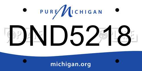 DND5218 Michigan License Plate