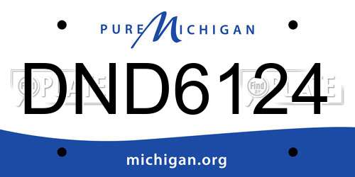 DND6124 Michigan License Plate
