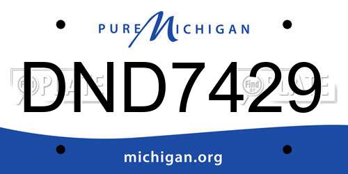 DND7429 Michigan License Plate