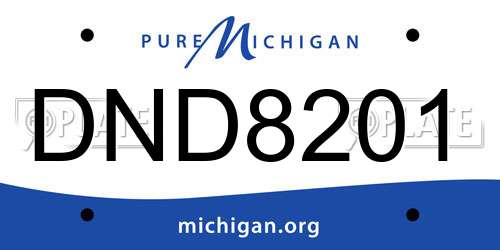 DND8201 Michigan License Plate