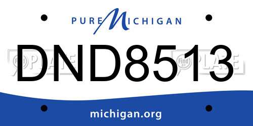 DND8513 Michigan License Plate