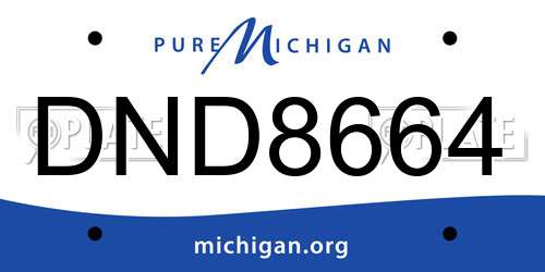 DND8664 Michigan License Plate