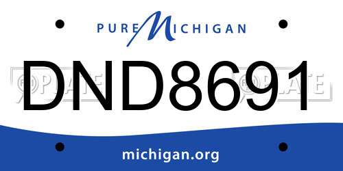 DND8691 Michigan License Plate