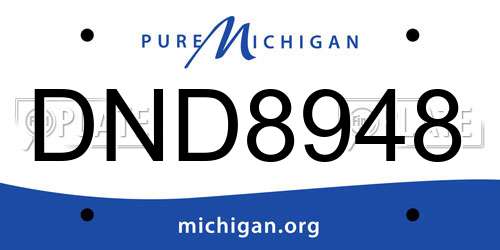DND8948 Michigan License Plate