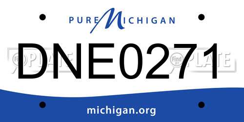 DNE0271 Michigan License Plate