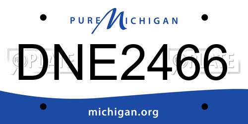 DNE2466 Michigan License Plate