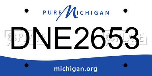 DNE2653 Michigan License Plate