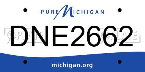 DNE2662 Michigan License Plate