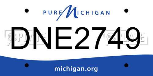 DNE2749 Michigan License Plate