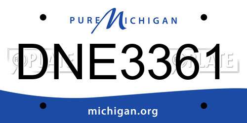 DNE3361 Michigan License Plate