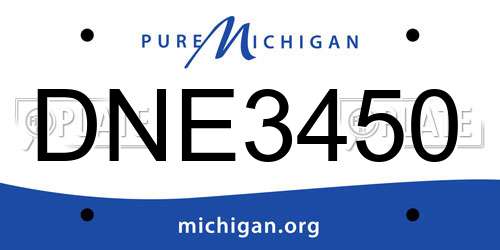 DNE3450 Michigan License Plate