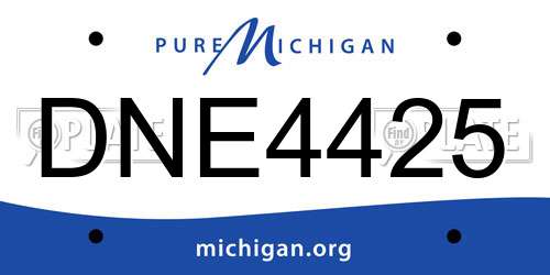 DNE4425 Michigan License Plate