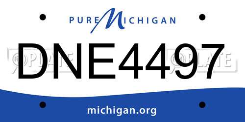 DNE4497 Michigan License Plate