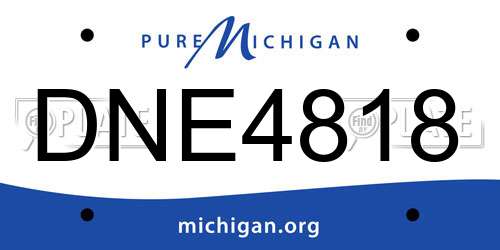 DNE4818 Michigan License Plate