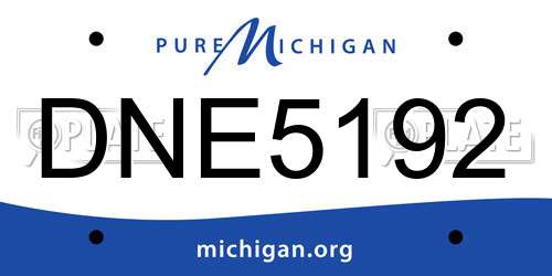 DNE5192 Michigan License Plate
