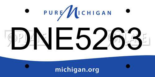 DNE5263 Michigan License Plate