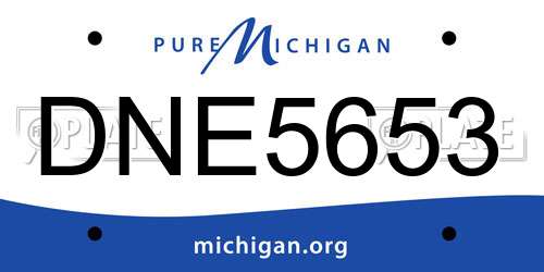 DNE5653 Michigan License Plate