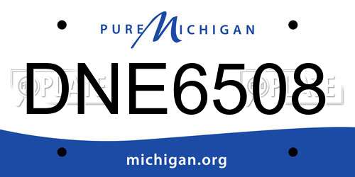 DNE6508 Michigan License Plate