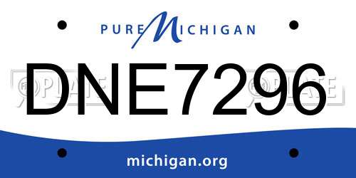 DNE7296 Michigan License Plate
