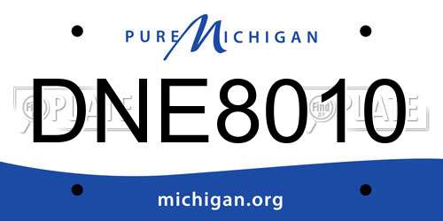 DNE8010 Michigan License Plate