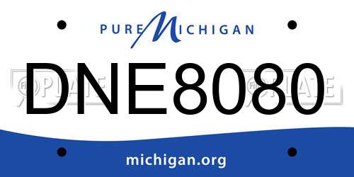 DNE8080 Michigan License Plate