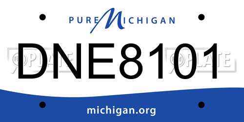 DNE8101 Michigan License Plate