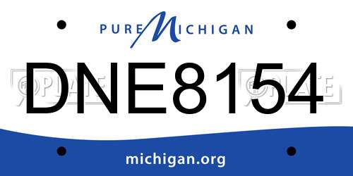 DNE8154 Michigan License Plate