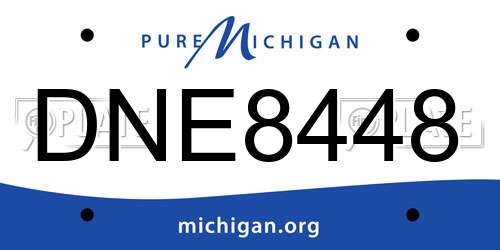 DNE8448 Michigan License Plate