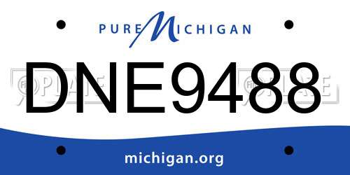 DNE9488 Michigan License Plate
