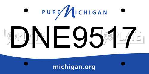 DNE9517 Michigan License Plate