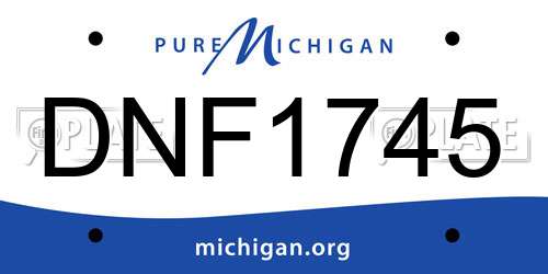 DNF1745 Michigan License Plate