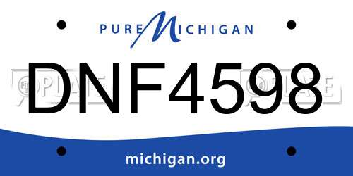 DNF4598 Michigan License Plate