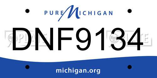 DNF9134 Michigan License Plate