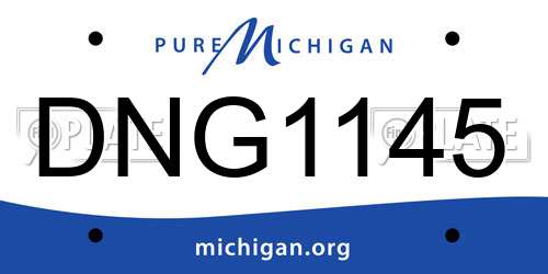 DNG1145 Michigan License Plate