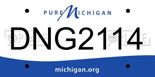 DNG2114 Michigan License Plate