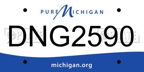DNG2590 Michigan License Plate