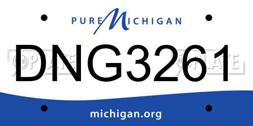 DNG3261 Michigan License Plate