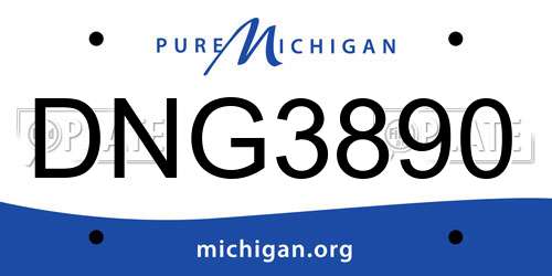 DNG3890 Michigan License Plate