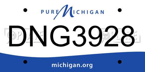 DNG3928 Michigan License Plate