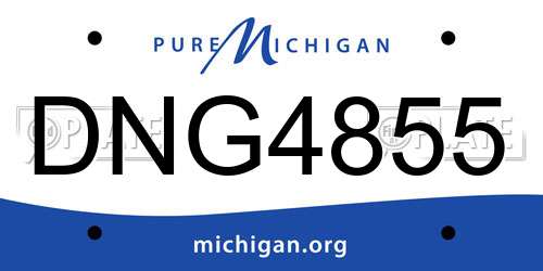 DNG4855 Michigan License Plate