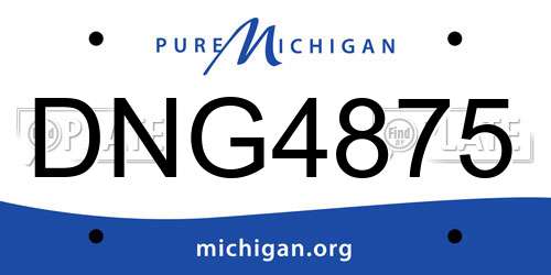 DNG4875 Michigan License Plate