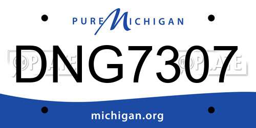 DNG7307 Michigan License Plate