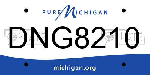 DNG8210 Michigan License Plate
