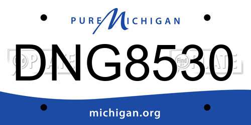 DNG8530 Michigan License Plate
