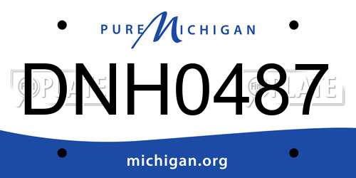DNH0487 Michigan License Plate