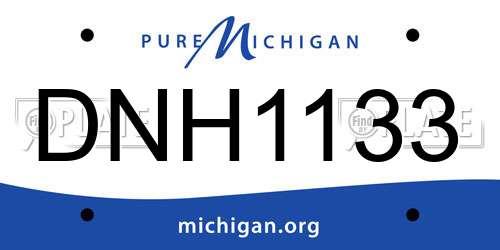 DNH1133 Michigan License Plate